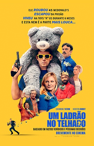 UM LADRÃO NO TELHADO