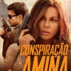 A CONSPIRAÇÃO AMINA